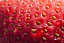 seeds of a strawberry