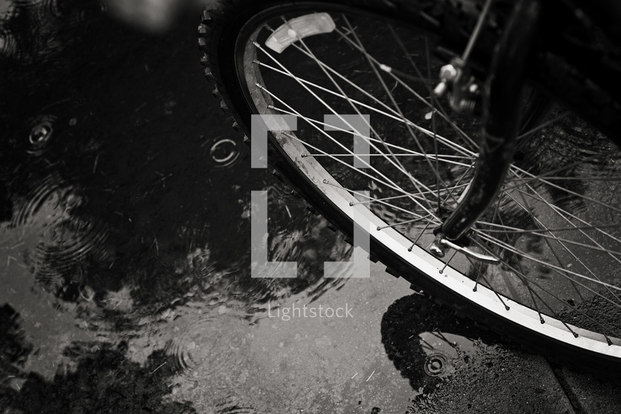 bicycle tire in a puddle 