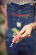 Hand holding a radish root.