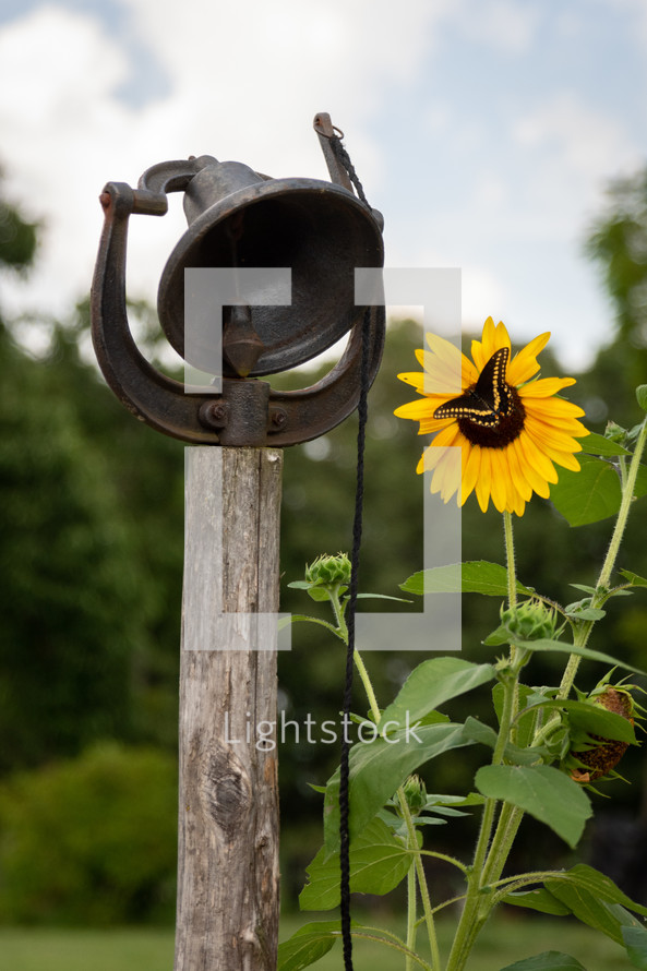 sunflower, butterfly, and bell 