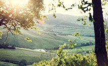 Typical landscape of Tuscany hills with lens flare