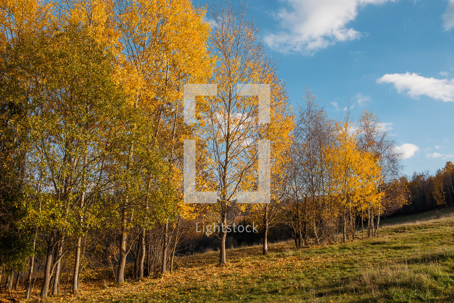 Autumn Scenery of Meadows in Rural Village Polomka, Slovakia