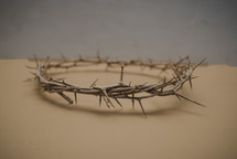 crown of thorns on a brown background 