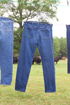 jeans hanging on a clothesline 