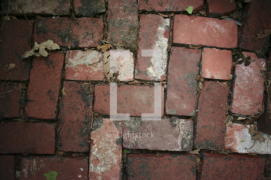 Brick pathway.