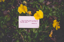 A scripture on a white card among yellow flowers.
