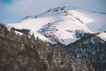 White snow-covered mountain Christmas trees and blue sky	
