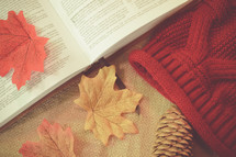 open Bible, fall leaves, pine cone, and knit cap 