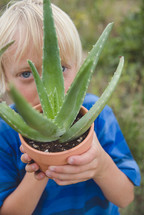 a boy child holding an aloe plant 