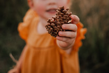 a child holding a pine cone 