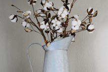 cotton plant in a galvanized pitcher 