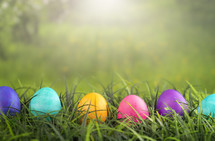 row of dyed Easter eggs in grass 