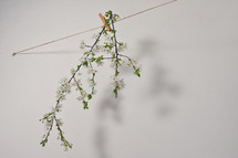 Abstract blossoming tree brunch with white flowers and Clothespins On Rope