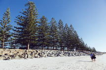 A couple walks together along a tree lined beach.