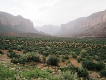 desert landscape in a valley 
