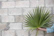 a woman holding a palm frond 