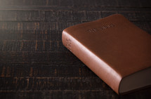 leather Bible 