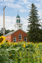 field of sunflowers and church 