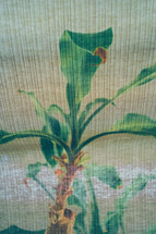 green plant through a screen 