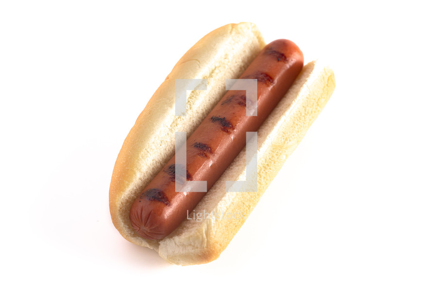 hotdog 