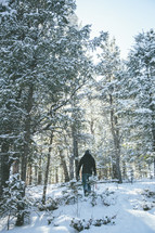 man walking through a snowy forest 