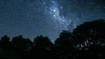 Dark night sky with stars of milky way galaxy over wild forest trees in New Zealand nature Astronomy Time lapse
