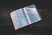 sunlight on the pages of an open Bible 