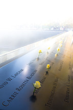 yellow roses in the 9/11 memorial 