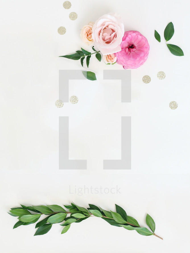 leaves and flowers on a white background 