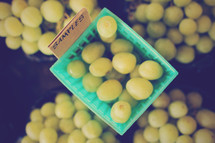 grape samples 