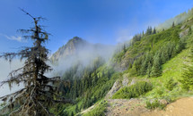 Hiking in the Olympic Mountains on a Misty Morning