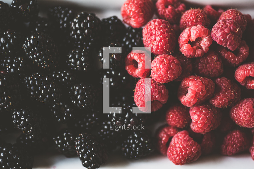 blackberries and raspberries 