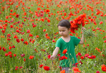 Cute child girl in poppy field. very happy child girl in poppy field. Girl in poppies