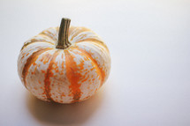 white and orange pumpkin 