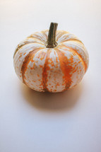 white and orange striped pumpkin 