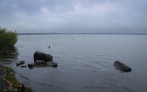 overcast sky and water along a shore 