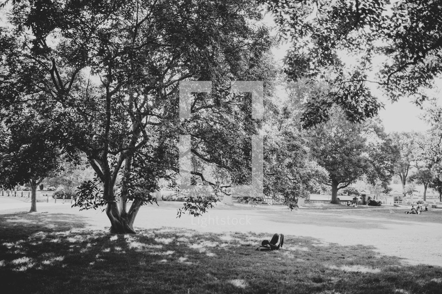 man sleeping under a tree in a park in Washington DC 