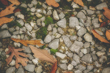 gravel and fall leaves 
