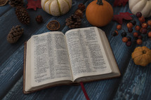 Bible in fall decor with pumpkin, berries, and pine cone