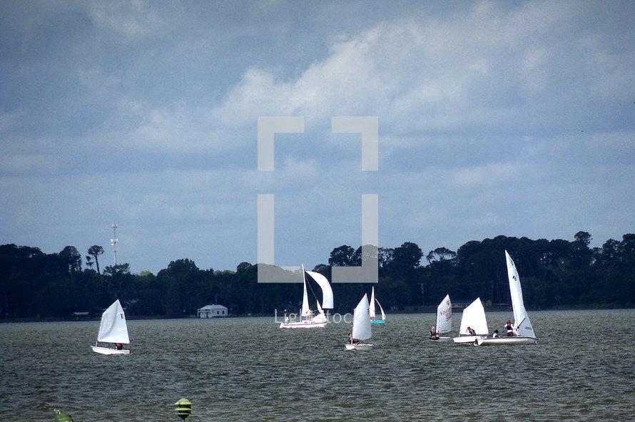 Sailboats in the harbor 