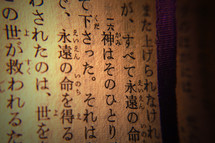 Text John 3: 16 (in Japanese)