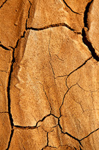 cracks in dry soil 