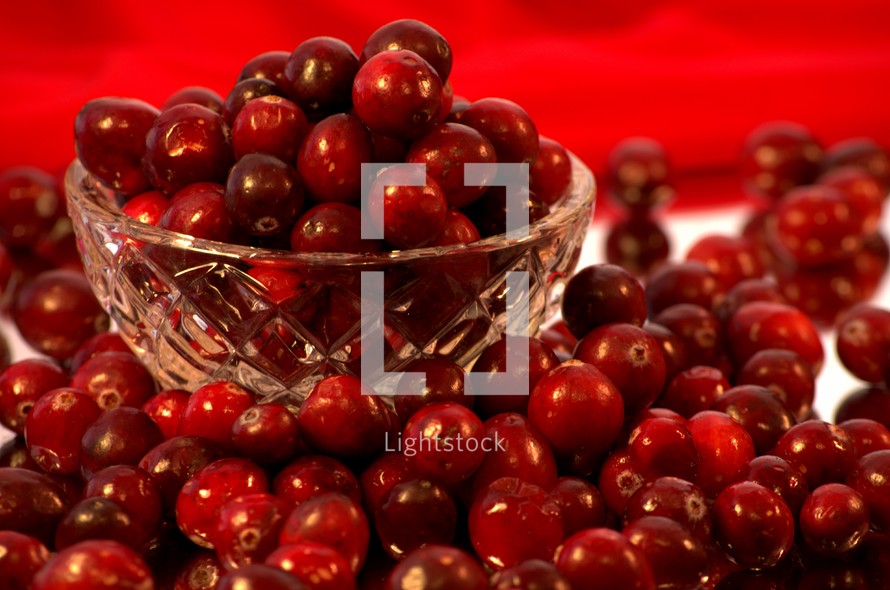 cranberries 