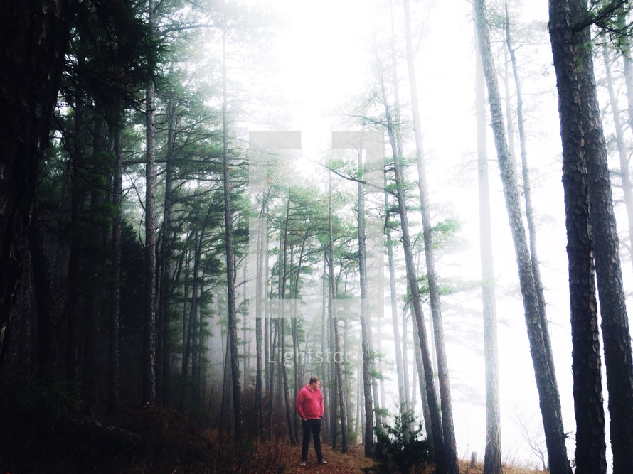 man in a foggy forest 