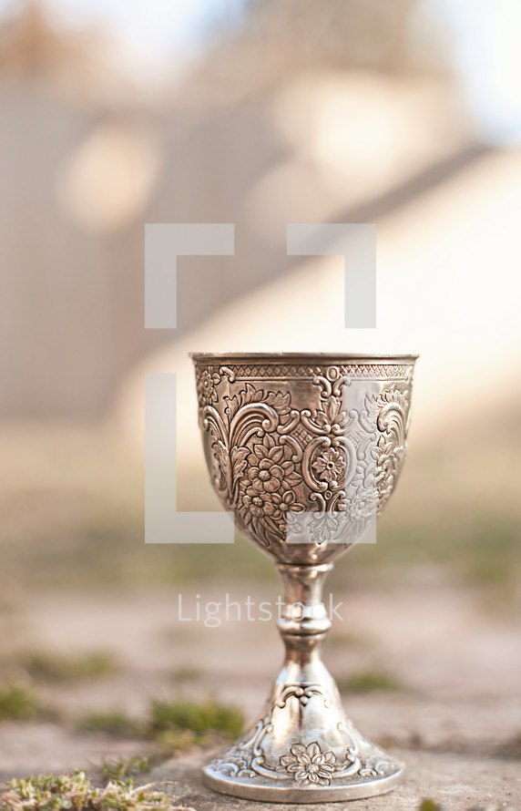 Silver chalice.