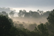 misty morning fog 