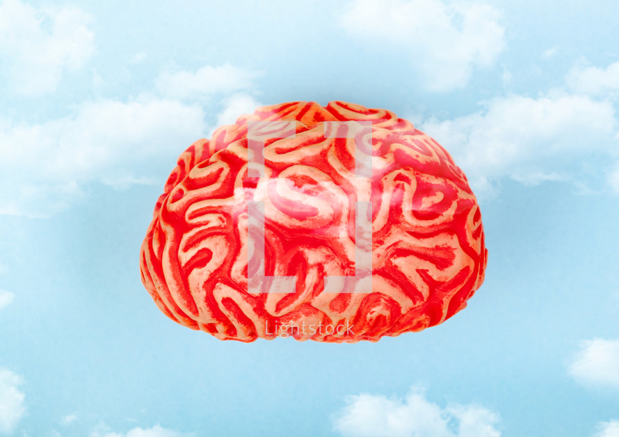 Brain in the clouds in the blue sky. Concept of head in the clouds.