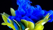  flower underwater with blue Ink reacting and creating abstract cloud formations.
