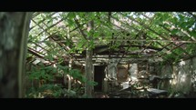 Nature's Reclaim: Abandoned Greenhouse Overrun by Nature