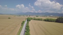 Aerial view of blue car on road in wheat field in summer countryside
